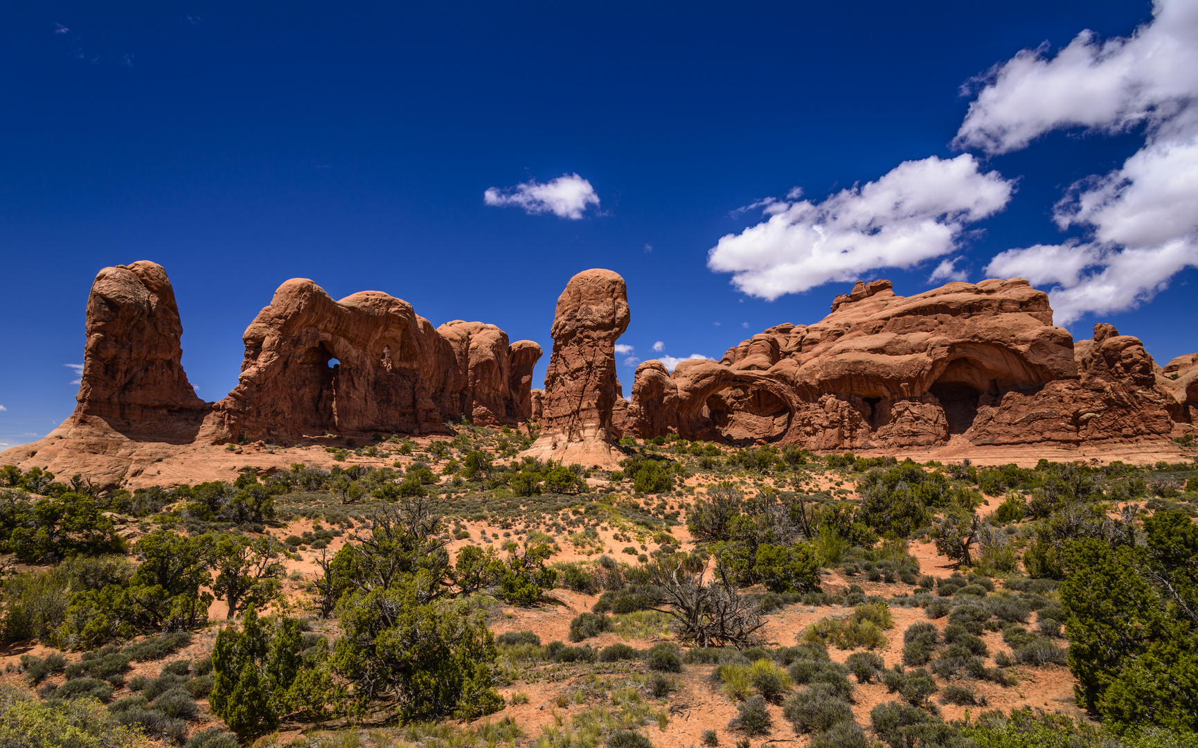 Parade of Elephants, Arches NP, Utah, USA