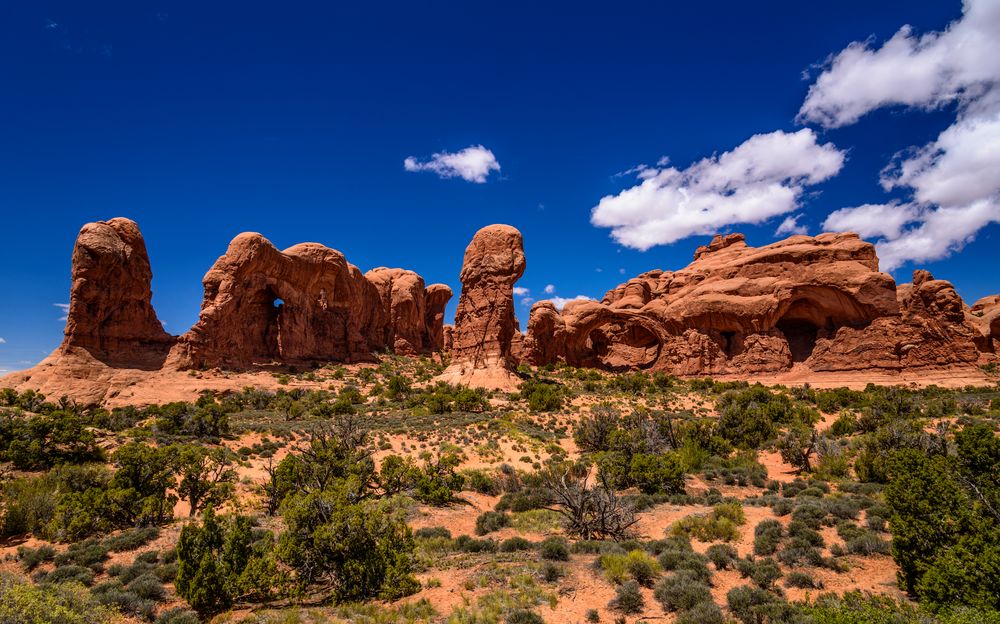 Parade of Elephants, Arches NP, Utah, USA