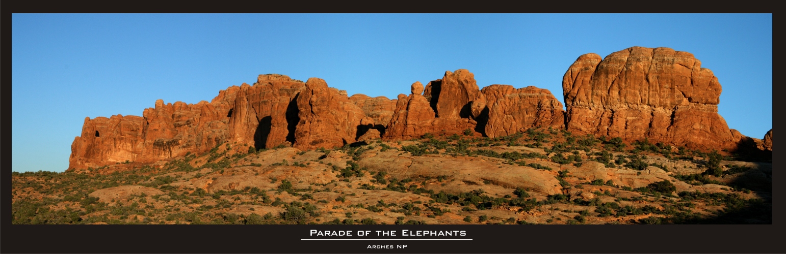 Parade of the Elephants