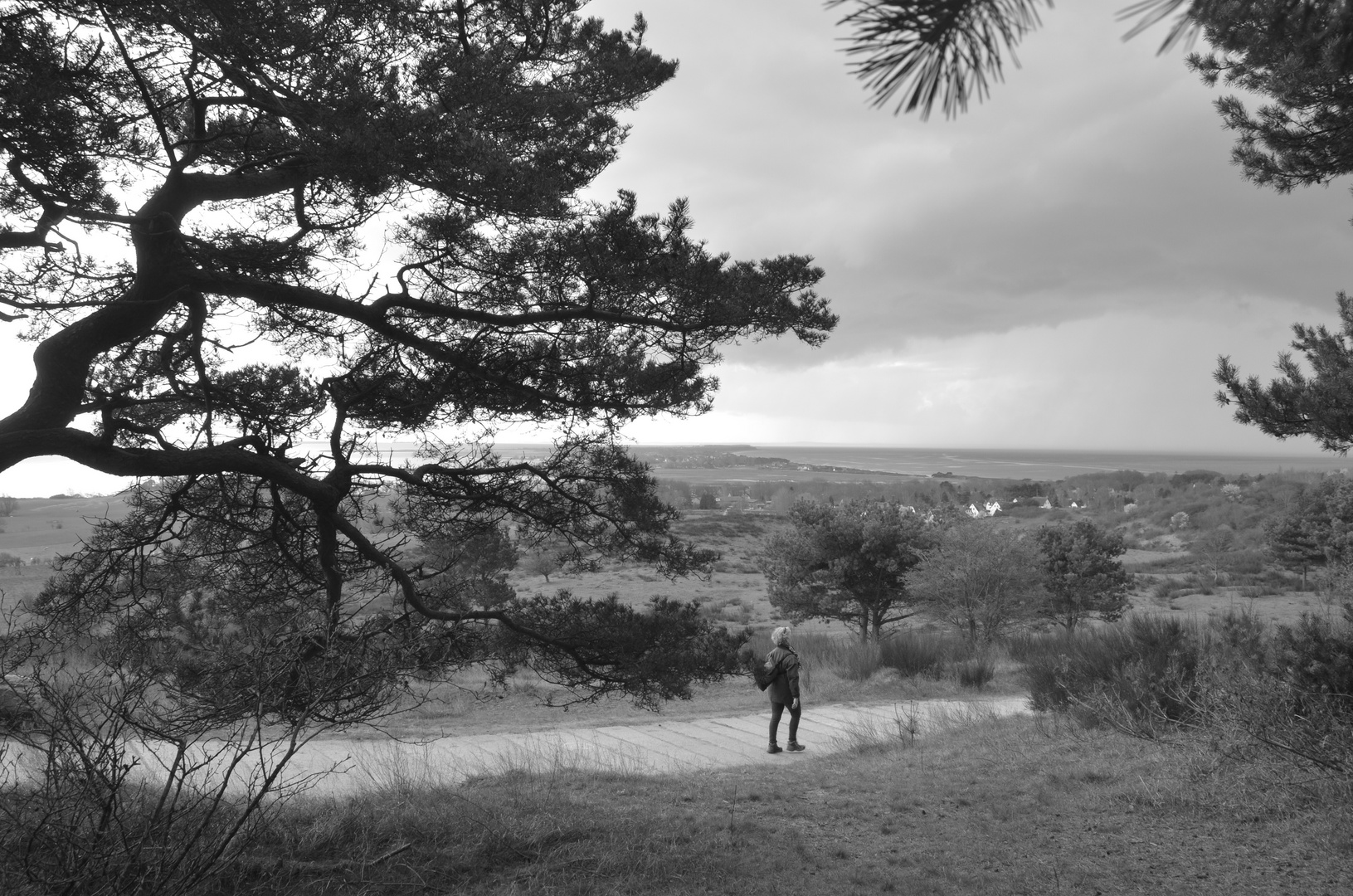 Paradies auf Erden Insel Hiddensee