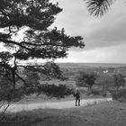 Paradies auf Erden Insel Hiddensee