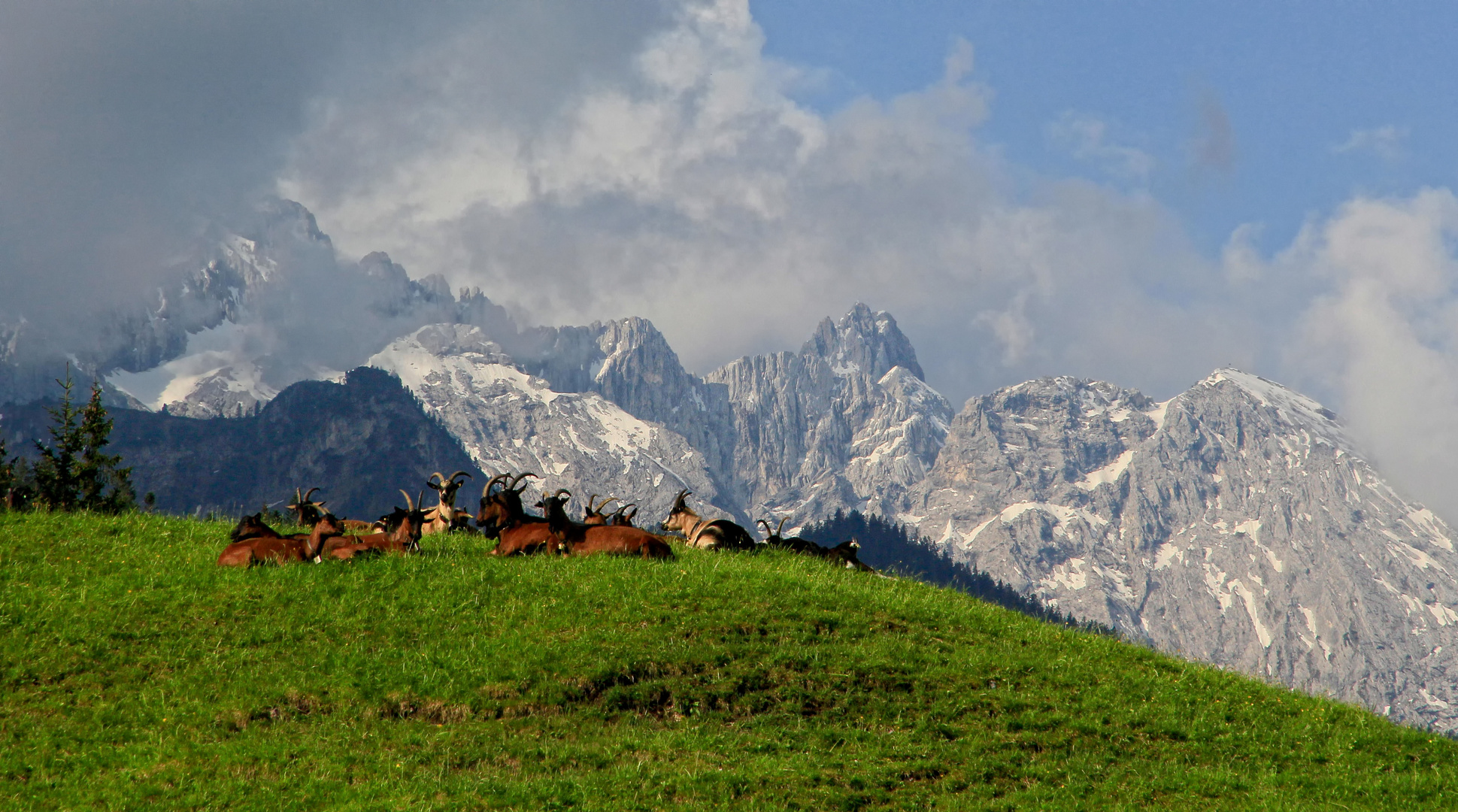 Paradies Foto & Bild deutschland, europe, bayern Bilder auf