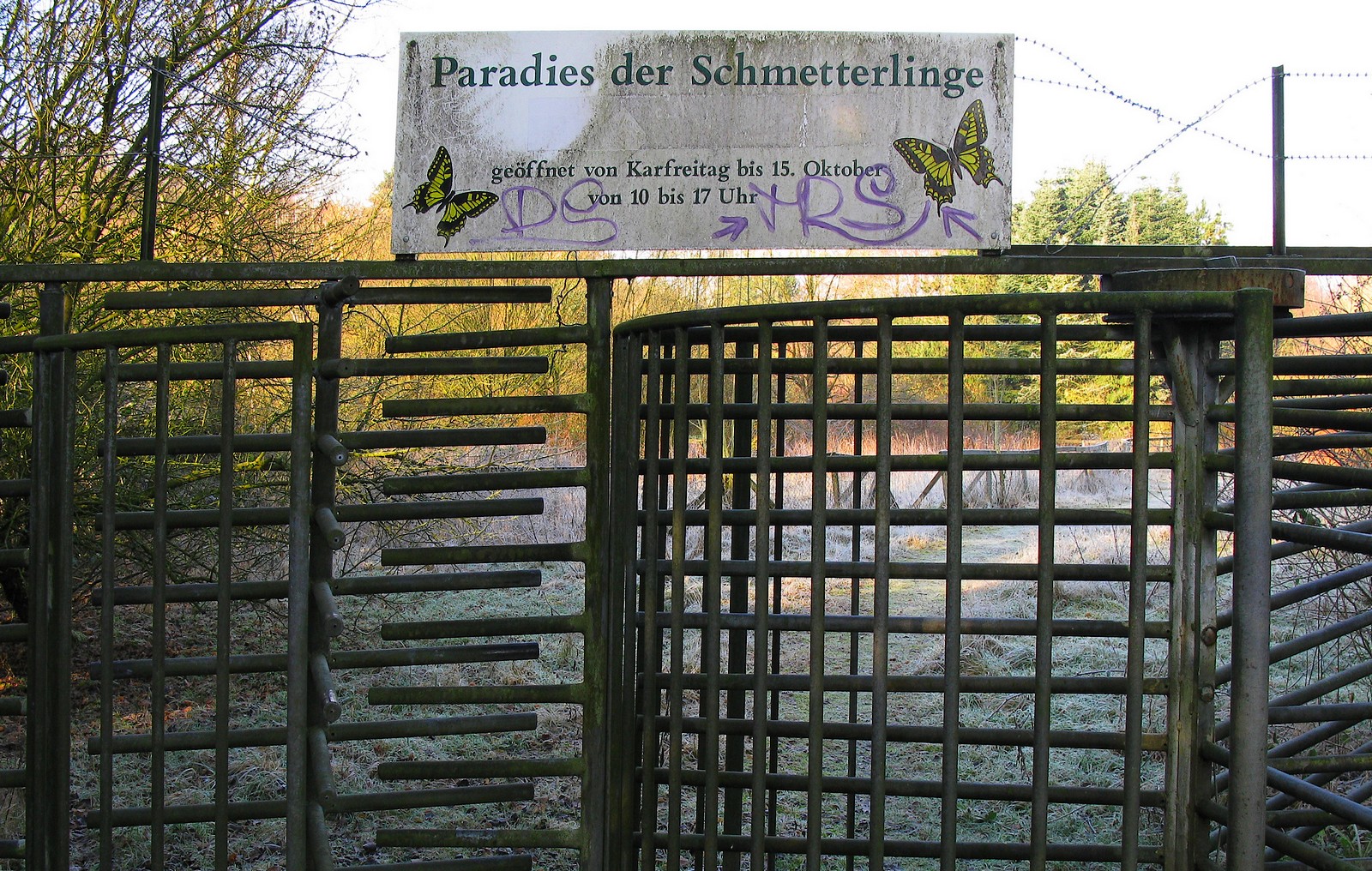 Paradies der Schmetterlinge :-)