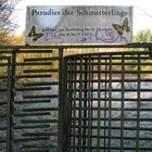 Paradies der Schmetterlinge :-)