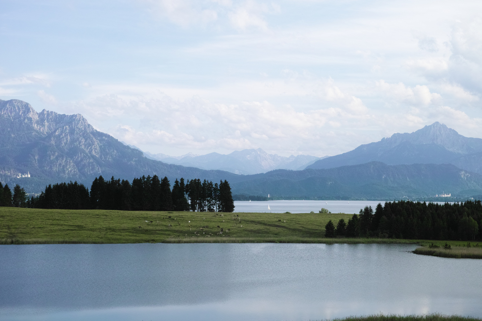 Paradies Foggensee