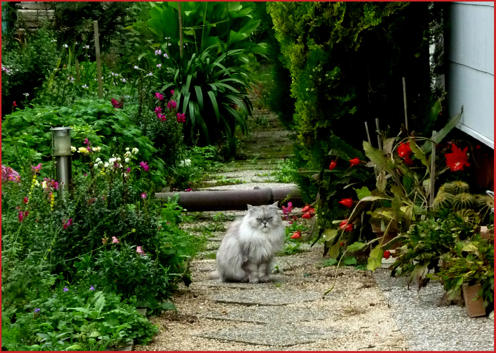 paradies .... für die katz