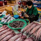 Paradies für Fischliebhaber in Busan