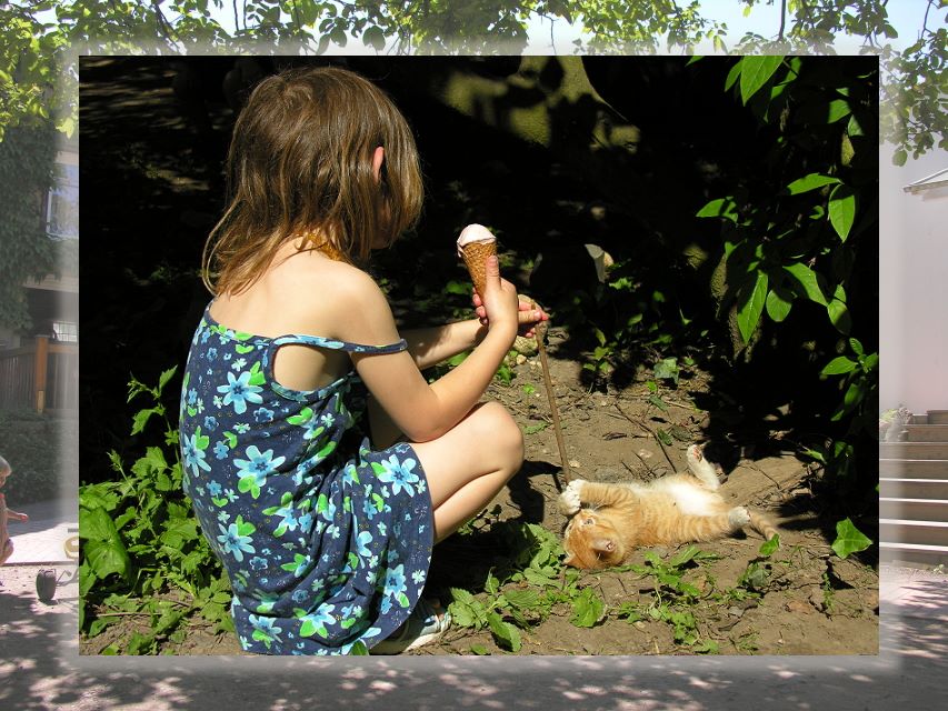 Paradies für Katzen und Kinder