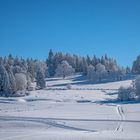 Paradies für Langlauf- und Schneeschuhakrobaten