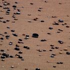 Paradies für Muschelsammler