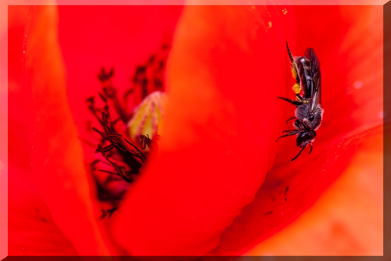 Paradies für Tiere