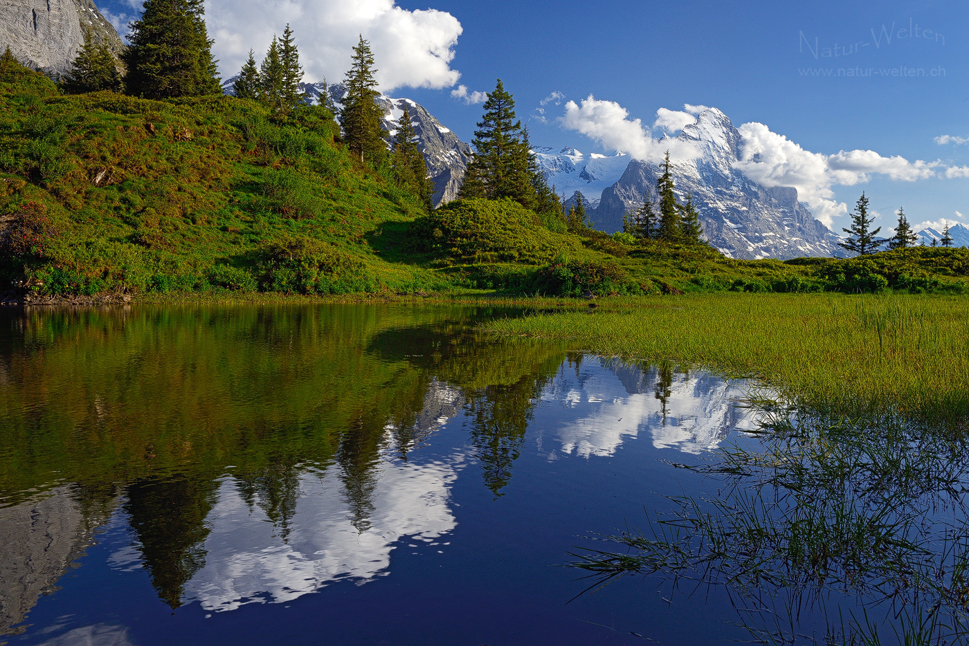 Paradies Grosse Scheidegg