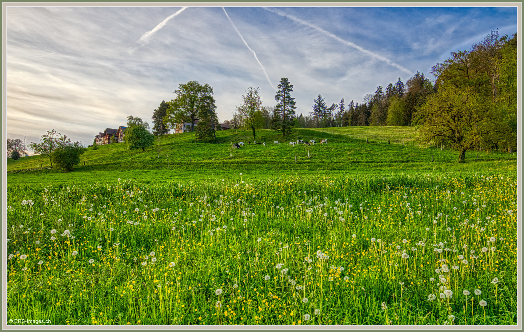 Paradies Heim, Mettmenstetten (CH) HDR 2024-04-14 001 (13) © 