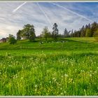 Paradies Heim, Mettmenstetten (CH) HDR 2024-04-14 001 (13) © 