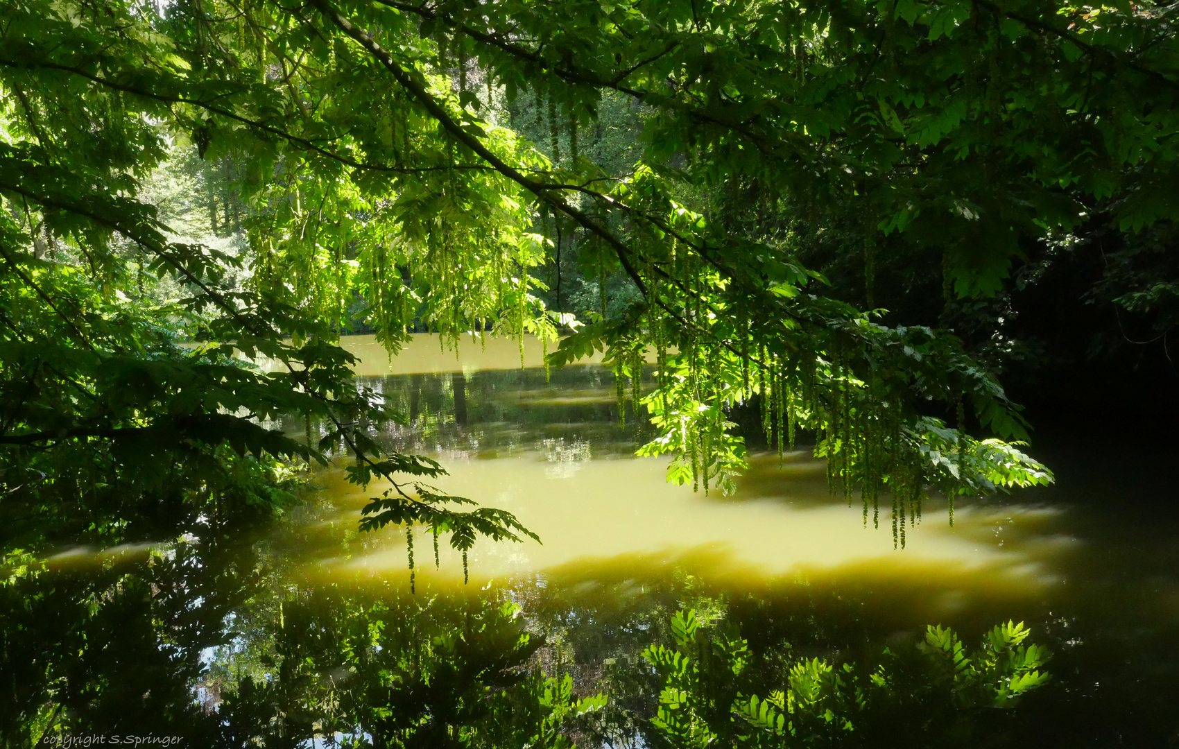 Paradies Heltorfer Schlosspark