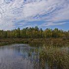 Paradies im Elchgehege 2