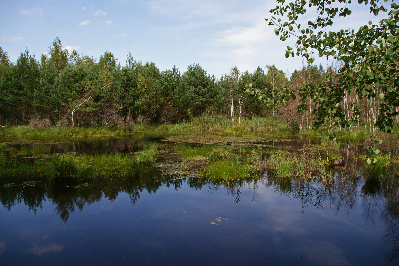 Paradies im Elchgehege