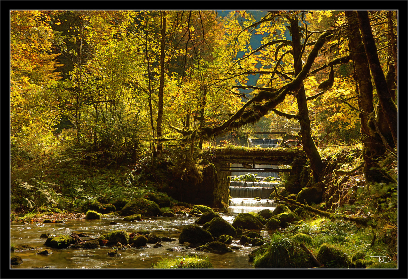 Paradies im Jura