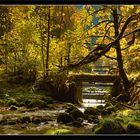 Paradies im Jura