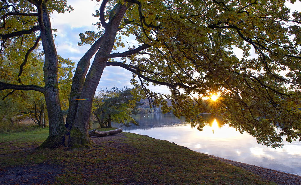 Paradies im Licht