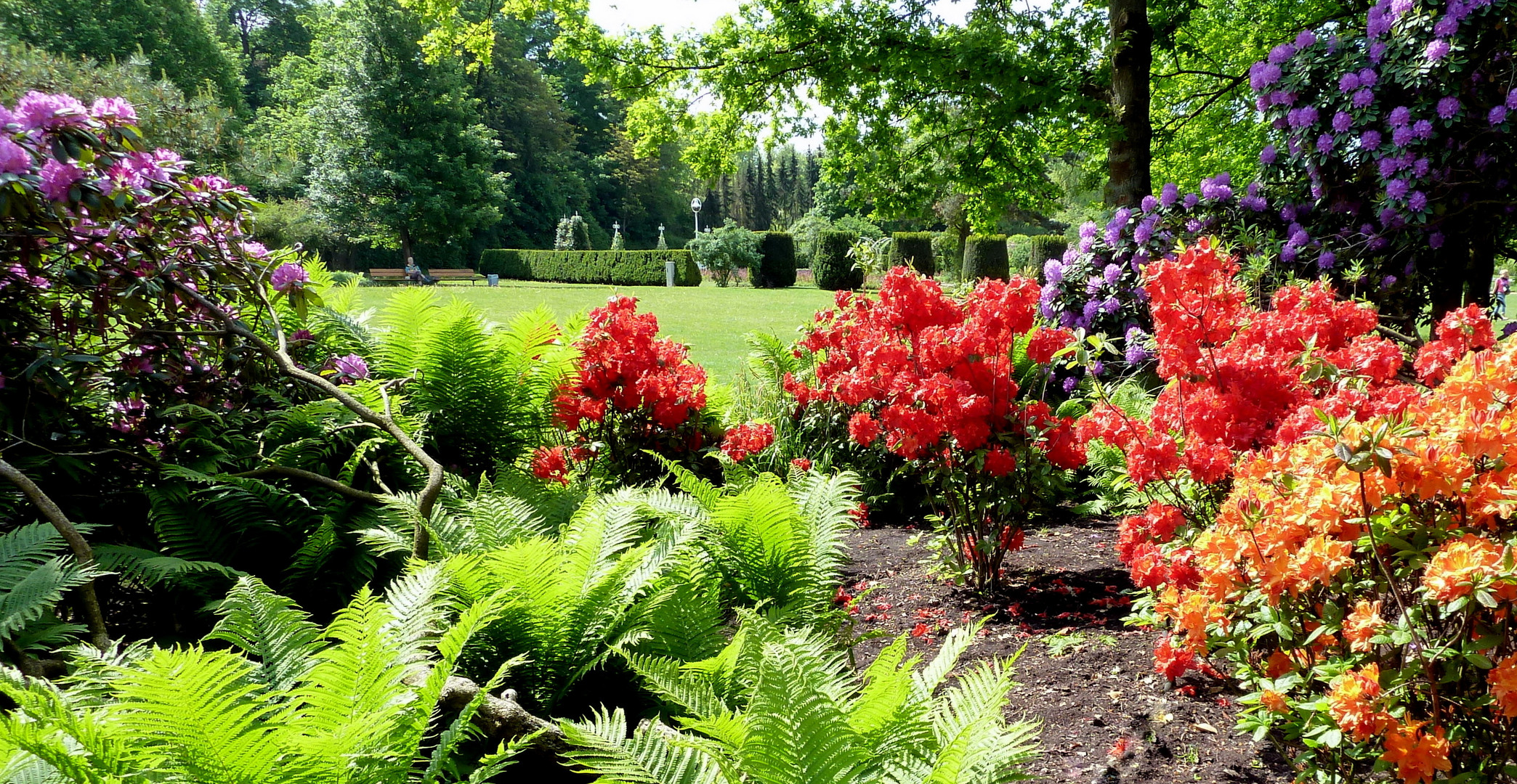 Paradies im Park