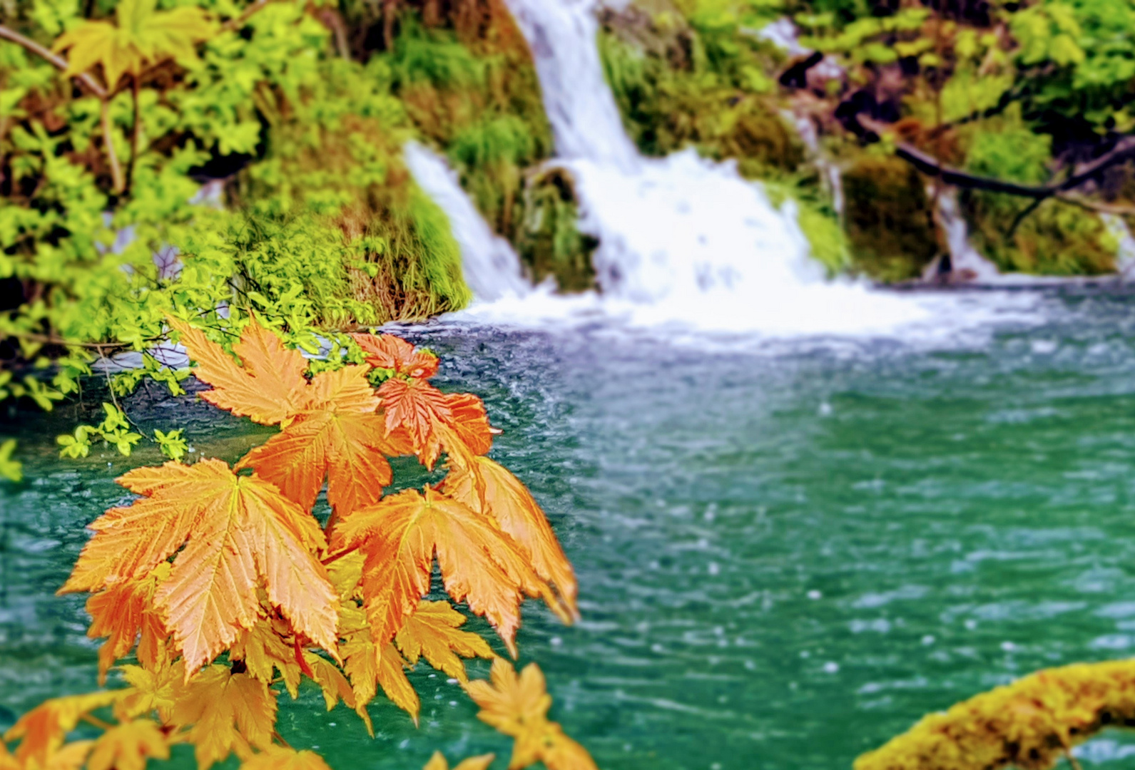 Paradies im Regen...