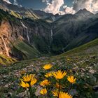 Paradies in den Alpen