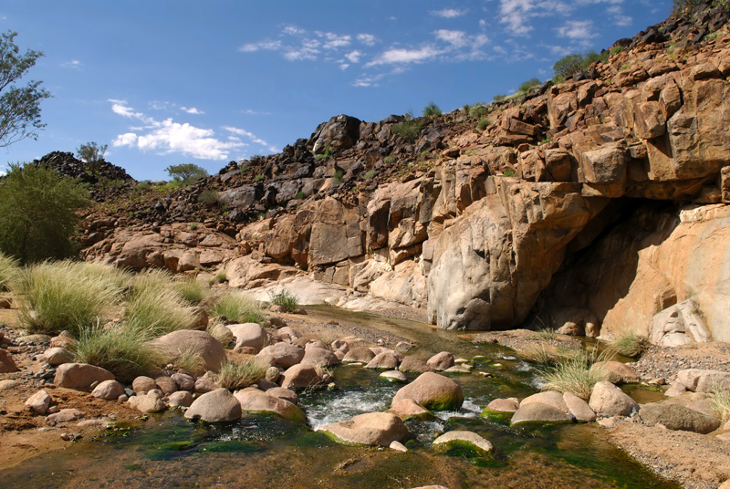 Paradies in der Wüste III