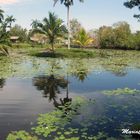 Paradies in einer Spiegel