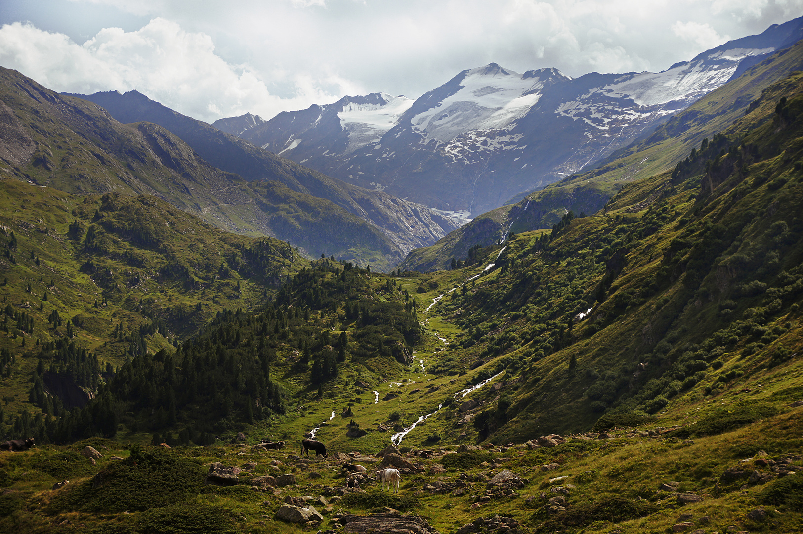 paradies in österreich