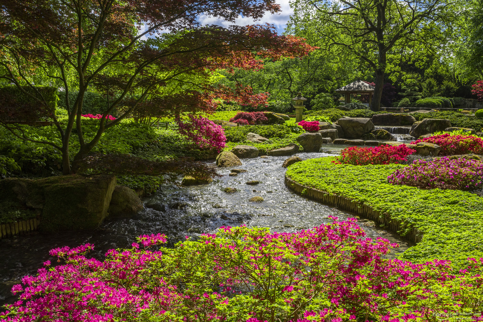 Paradies Japangarten