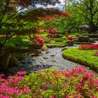 Paradies Japangarten