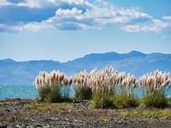 Paradies Neuseeland