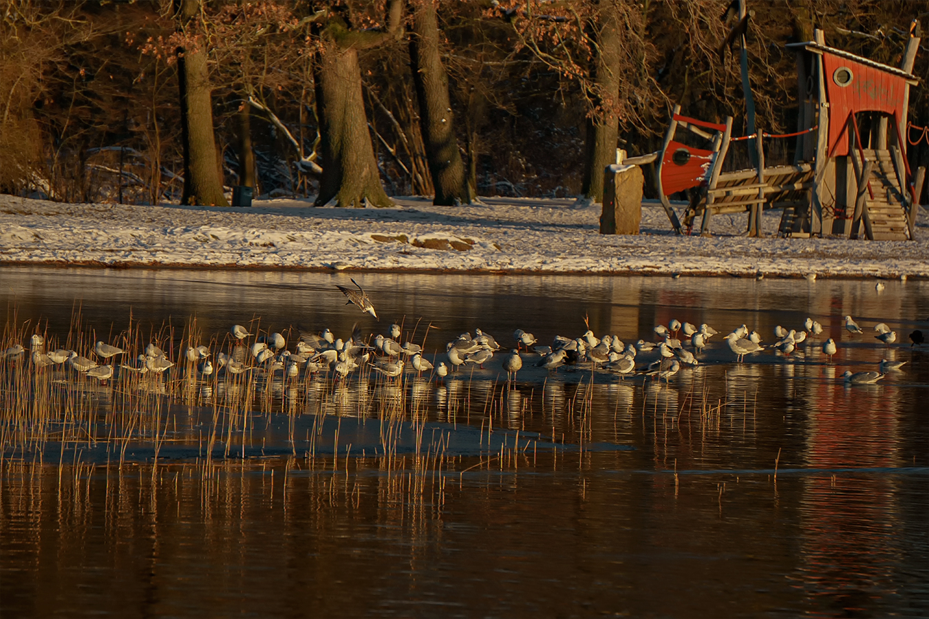 Paradies nicht nur für Vögel