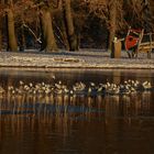 Paradies nicht nur für Vögel