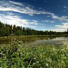 Paradies Oberpfalz / Weiherlandschaft bei Gumpen