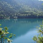 Paradies unterhalb vom Schloß Neuschwanstein