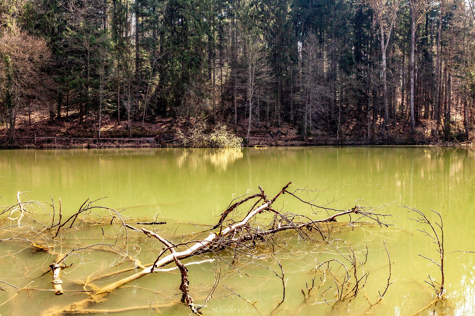 Paradiesgarten Stille*