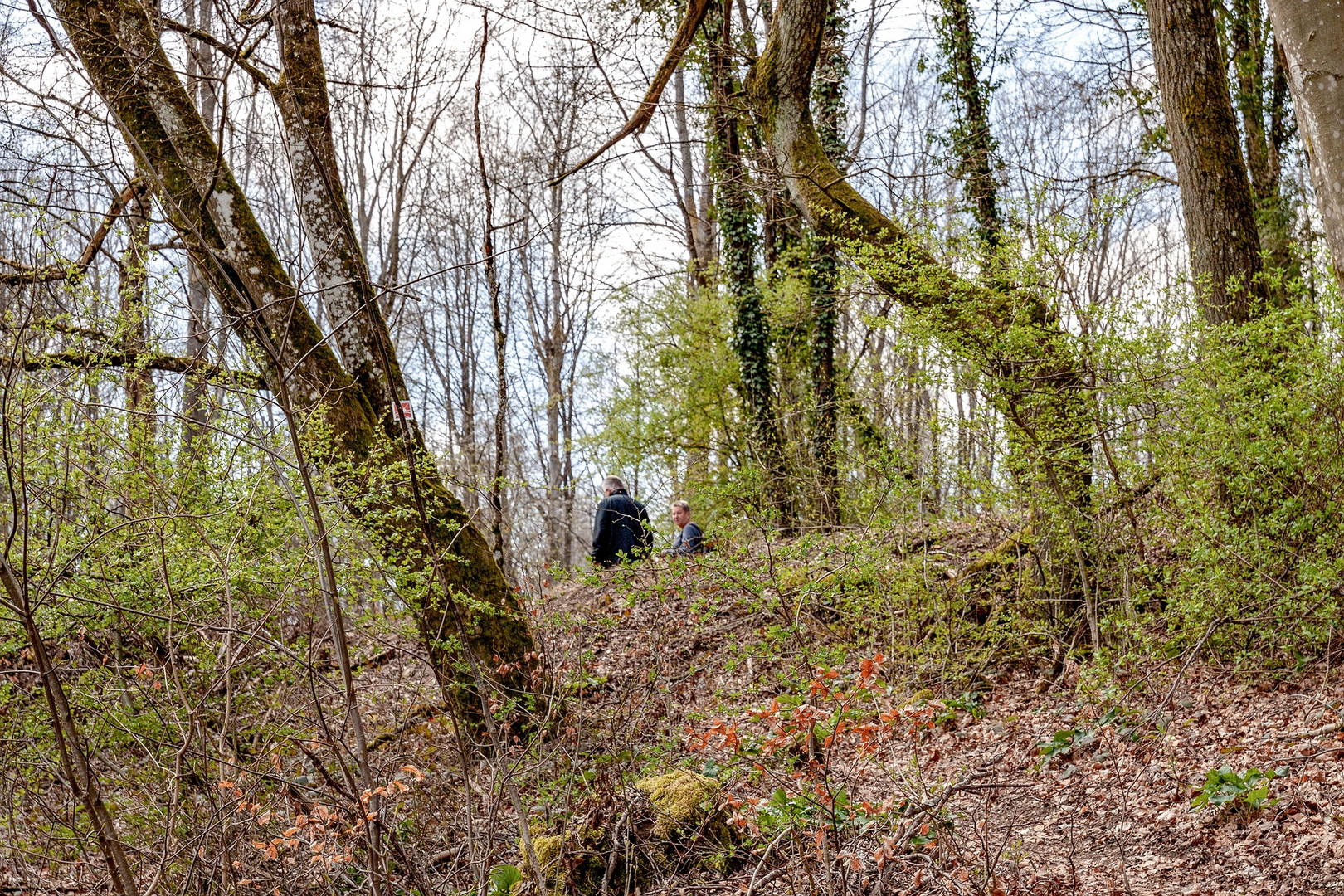 Paradiesgartenweg *