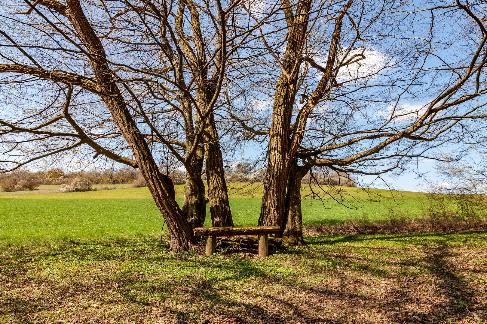 Paradiesgartenweg *