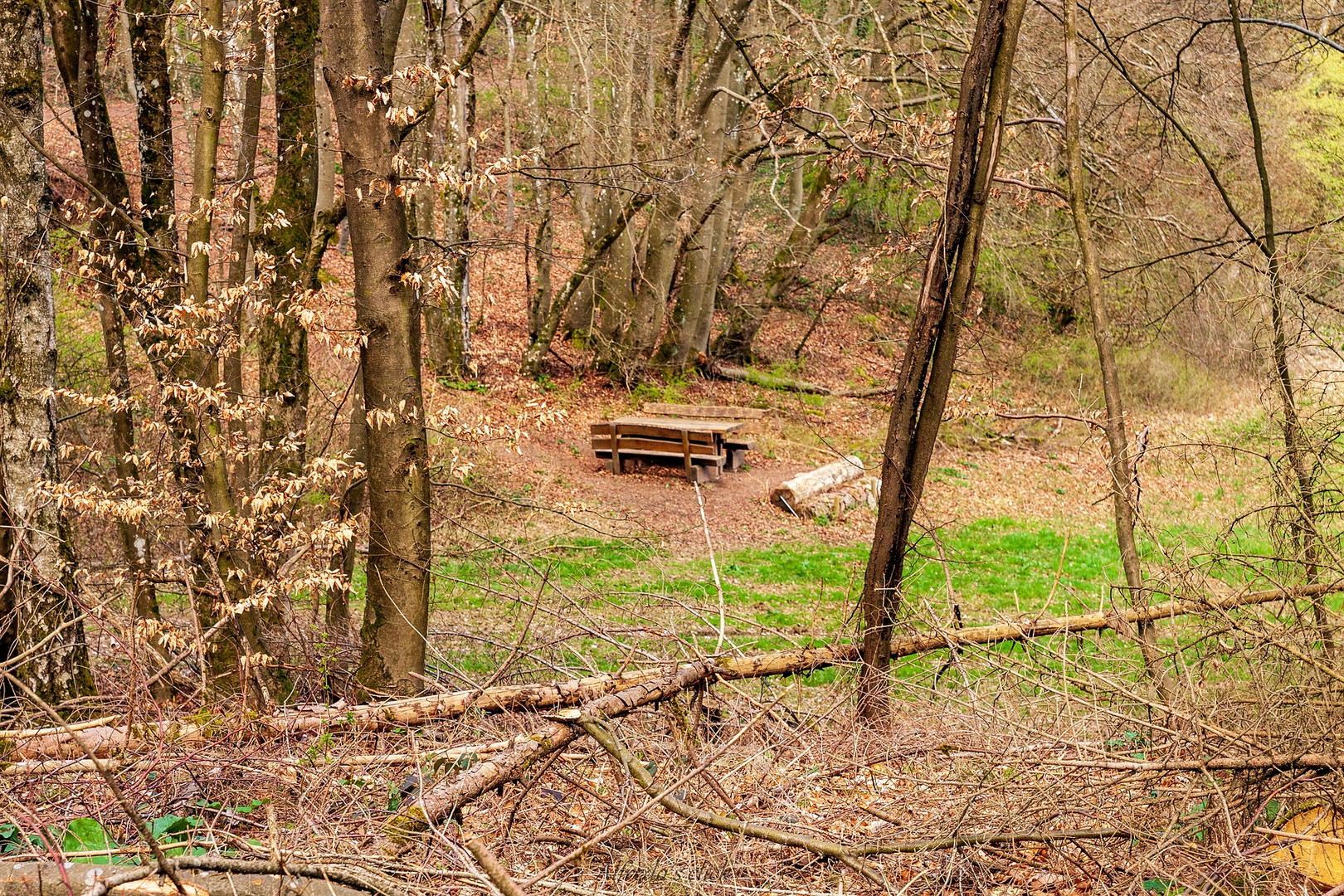 Paradiesgartenweg *