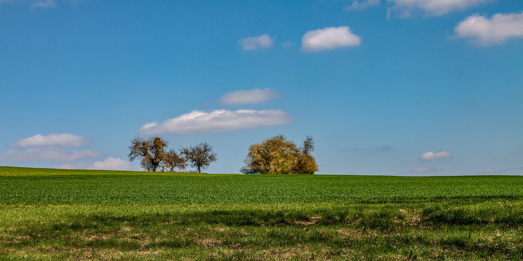 Paradiesgartenweg *