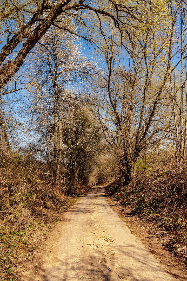 Paradiesgartenweg *