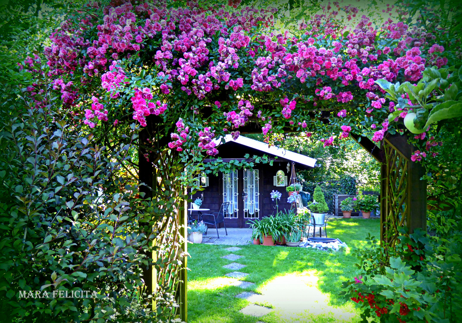 Paradiesische Rosengärten  - Sommer bei uns dahoam.....