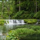 Paradiesische Verhältnisse