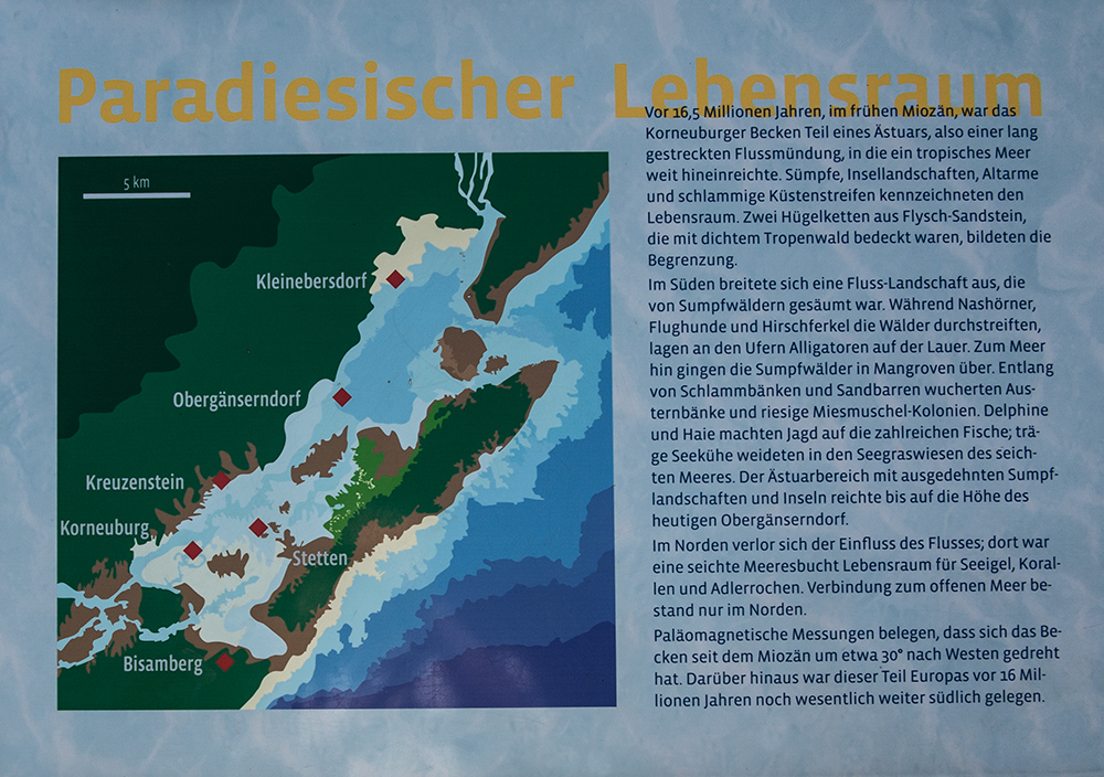 Paradiesischer Lebensraum