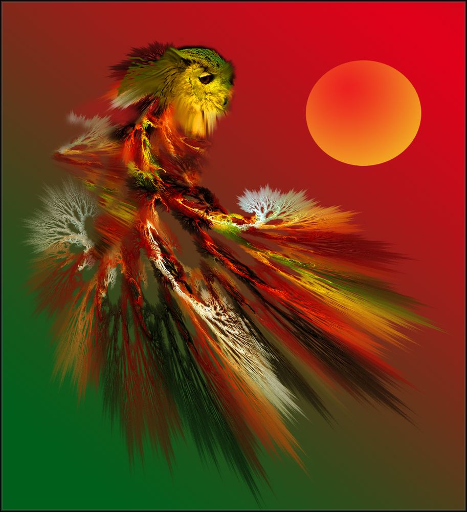 paradiesvogel-foto-bild-fraktale-apophysis-sk-eule-bilder-auf