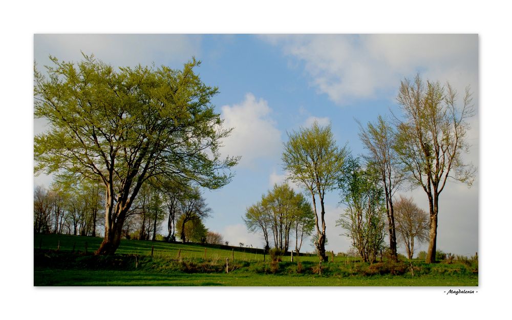 Paradis champêtre