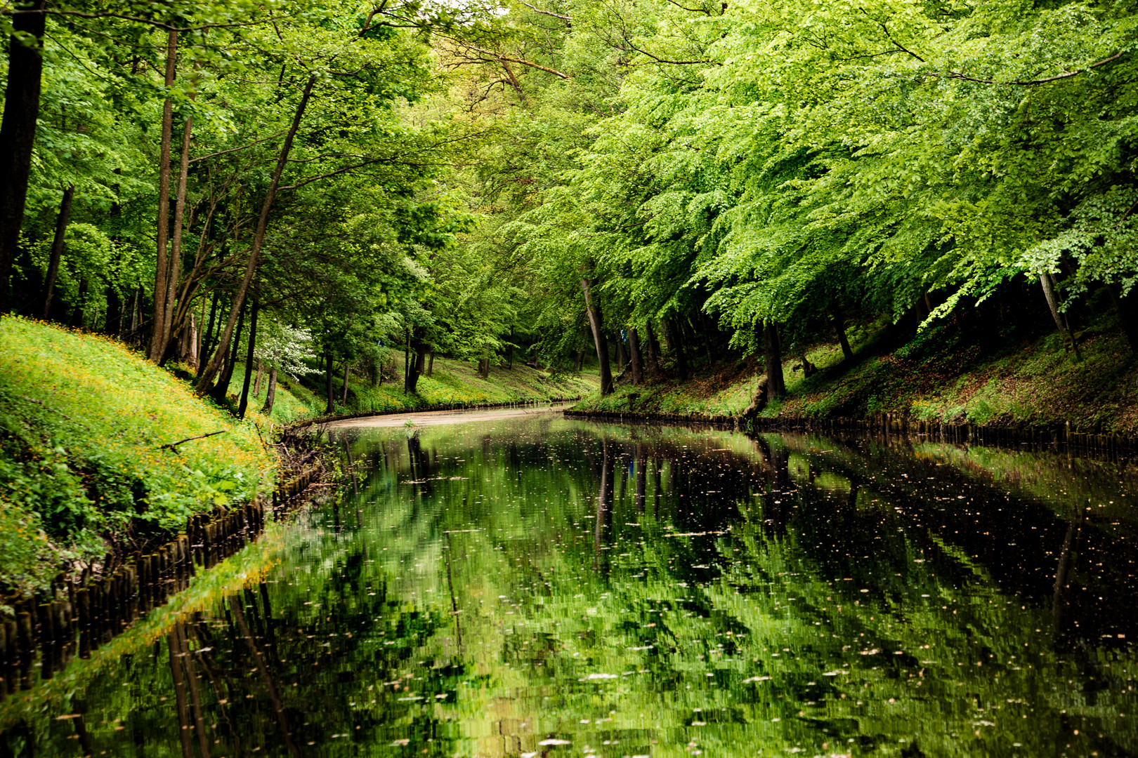 Paradise Foto & Bild | monatswettbewerbe natur, 2021, 08 farben - grün ...