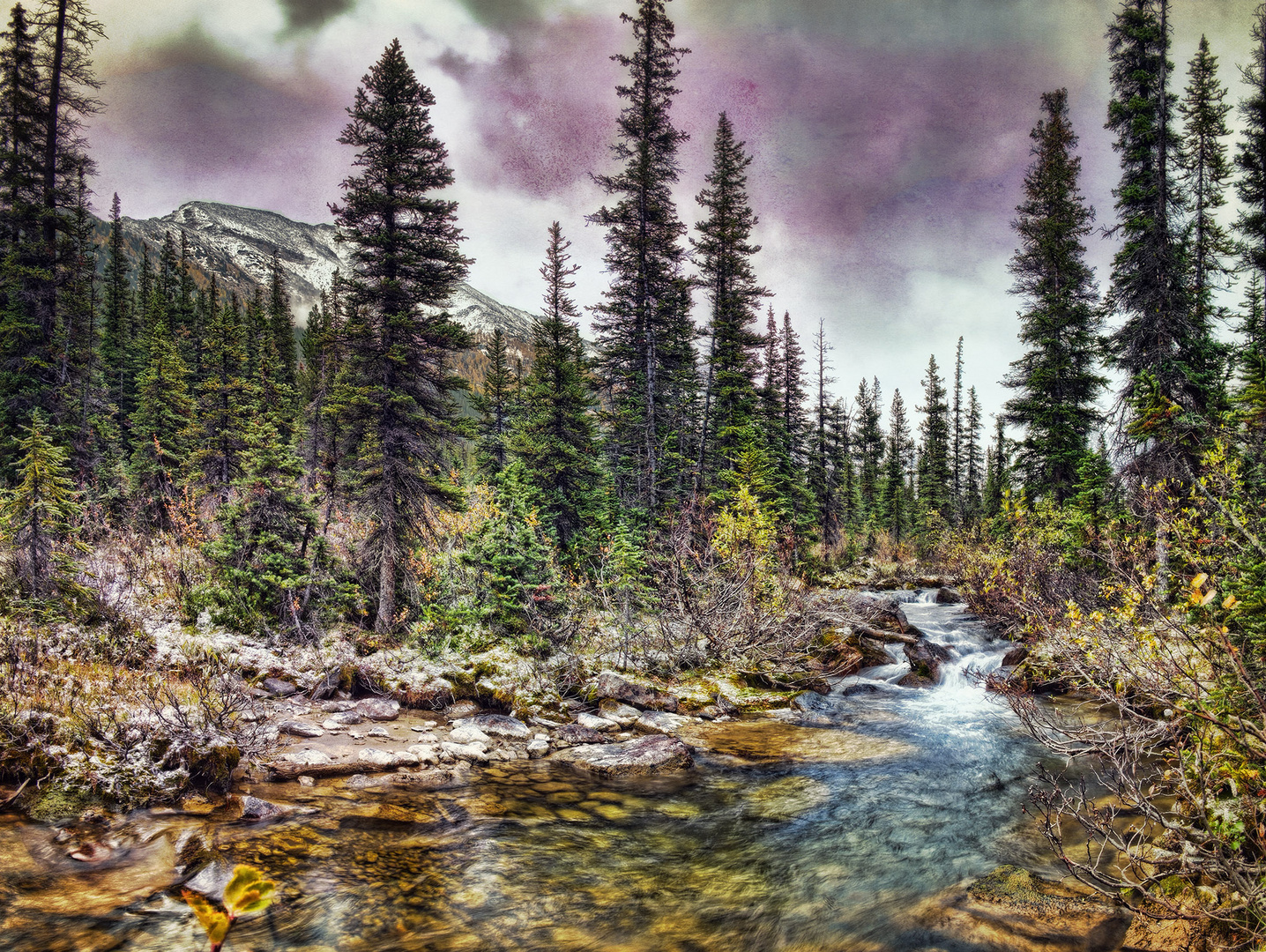 Paradise Creek, COnsolation Lakes, Banff